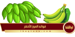 رحلة العافية: فوائد الموز الأخضر